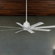 Breda 65" Ceiling Fan (310265MWH)