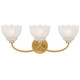 Whitecap Three Light Vanity (WHP8623BRG)