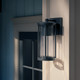 Barras One Light Outdoor Wall Mount (59022BKDS)
