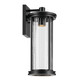 Barras One Light Outdoor Wall Mount (59024BKDS)
