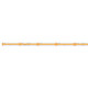 6T Series Cob Dry Tape Light LED Tape Light (6COB1100S40WH)