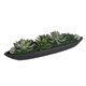 Verde Bowl Centerpiece (60260)