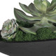 Verde Bowl Centerpiece (60260)