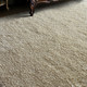 Caramont Rug (73096-6)