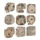Bahati Wall Decor Set/9 (04398)
