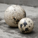 Nouveau Spheres Set/2 (17143)