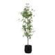 Uttermost - 60263 - Tree - Boreal - Aged Gray