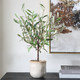 Solea Olive Vase (60264)