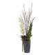 Eterna Orchid Vase Centerpiece (60265)