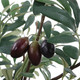 Marisol Planter (60268)