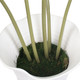Marisol Planter (60268)