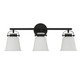 Kaden Three Light Bathroom Vanity (8-1627-3-BK)