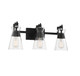 Lakewood Three Light Bathroom Vanity (8-1830-3-BK)