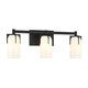 Caldwell Three Light Bathroom Vanity (8-4128-3-BK)