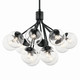 Silvarious 12 Light Chandelier Convertible (52701BKCLR)