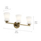 Brianne Three Light Bath (55117BNB)