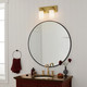 Vetivene Two Light Bath (55130NBR)