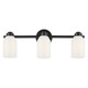 Shae Three Light Bath (55202BK)