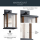 Marimount One Light Outdoor Wall Mount (59016BK)