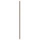 manufacturer_finish:Brushed Gold