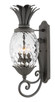 manufacturer_finish:Museum Black|manufacturer_glass:Clear Optic