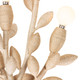 Branche Four Light Wall Sconce (527021WIV)