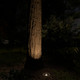 Landscape Led LED Inground (16023CBR30)