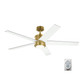Brahm 56"Ceiling Fan (300044NBR)