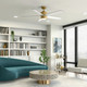 Brahm 56"Ceiling Fan (300044NBR)