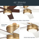 Brahm 48"Ceiling Fan (300048NBR)