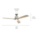 Ridley II 60" Ceiling Fan (300075AP)