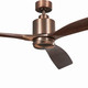 Ridley II 60" Ceiling Fan (300075OBB)