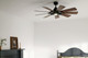 Gentry 60" Ceiling Fan (300260AVI)