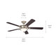 Rise 60"Ceiling Fan (300370NI)