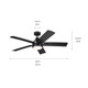 Tide 52"Ceiling Fan (310075SBK)