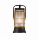 Eurofase - 44262-013 - RIVAMAR-OD-13IN-GBM-CL - RIVAMAR - Gold-Black