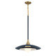 Welsh LED Pendant (46441-027)