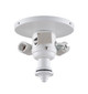 Fanimation - F1MW - Three Light Fitter - myFanimation - Matte White