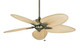 Fanimation - FP7500AB - 52 Ceiling Fan - Windpointe - Antique Brass