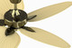 Windpointe 52" Ceiling Fan (FP7500AB)
