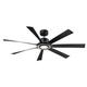 Lenzi 60" Ceiling Fan (FPD7060BLBN)