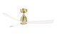 Kute 52 52"Ceiling Fan (FPD8534BS)