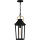 Buckley One Light Mini Pendant (BUK1507MBK)