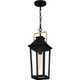 Buckley One Light Mini Pendant (BUK1507MBK)