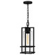 Quoizel - DMN1507EK - One Light Mini Pendant - Damien - Earth Black