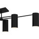 Foreland Six Light Semi-Flush Mount (FLD1750MBK)