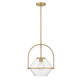 Coralyn One Light Pendant (11895-732)