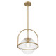 Coralyn One Light Pendant (11895-732)