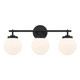 Ortesa Three Light Vanity (12013-899)