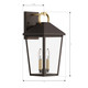Bayra Two Light Outdoor Wall Lantern (78102-886)